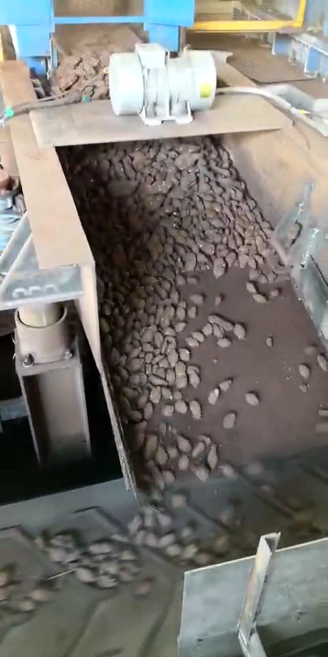 202601290355052581